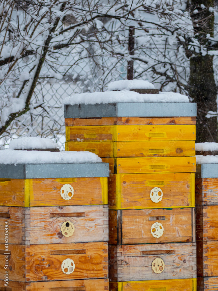 bee hives in winter time - hives in snow bee hives in winter time - hives in snow