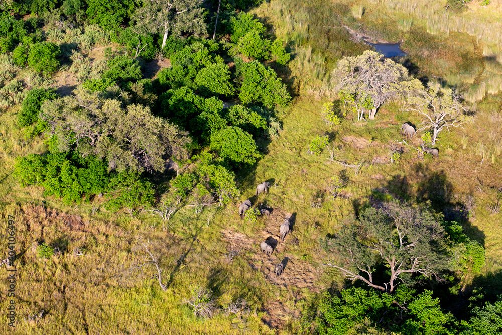 Aerial view to wild nature of Delta Okavango in Botswana.