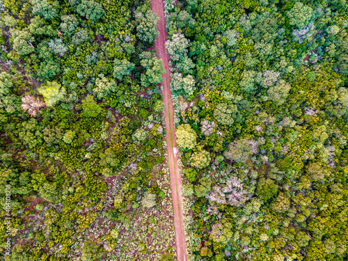 Fotografie Arid forest divided by Human road in south of France, in the cote d'azur, France