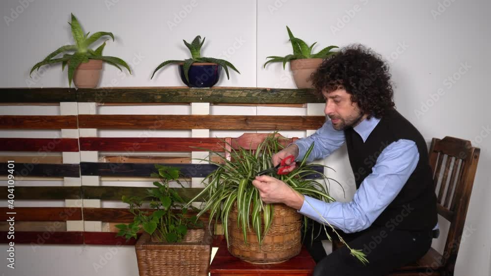 Businessman boy does gardening with mask in apartment during Covid-19 Coronavirus lockdown quarantine home - lifestyle in epidemic smart working Businessman boy does gardening with mask in apartment during Covid-19 Coronavirus lockdown quarantine home - lifestyle in epidemic smart working