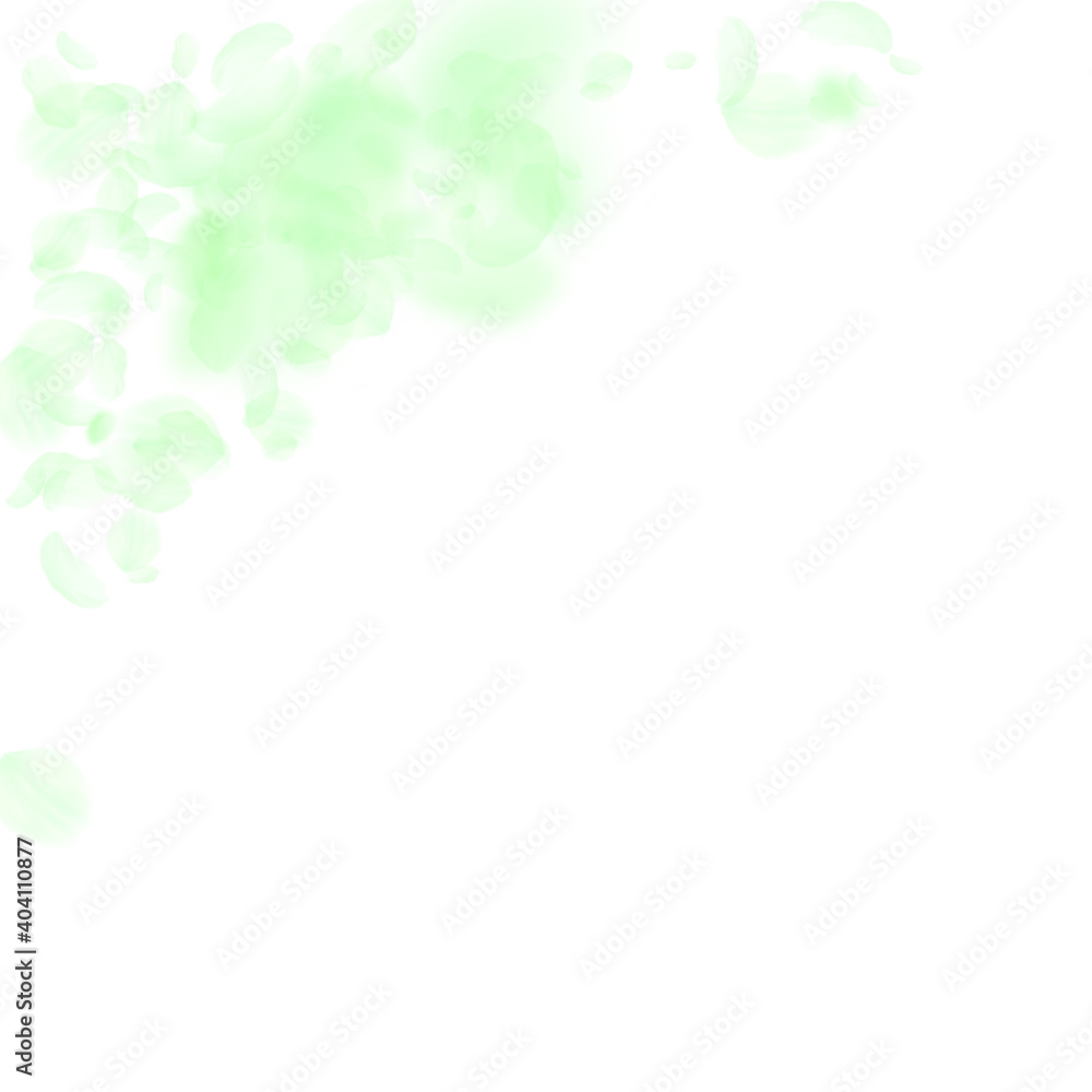 Green flower petals falling down. Grand romantic flowers corner. Flying petal on white square background. Love, romance concept. Amusing wedding invitation. Green flower petals falling down. Grand romantic flowers corner. Flying petal on white square background. Love, romance concept. Amusing wedding invitation.