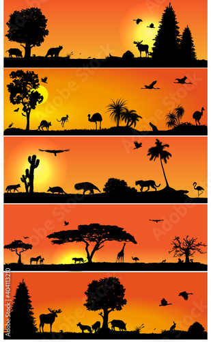 Vector banners with wold fauna and flora