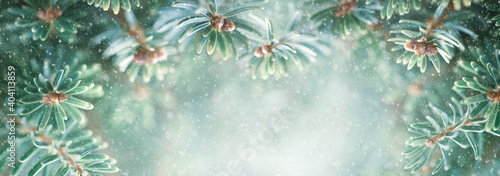 Beautiful snowy green fir tree branches close up. Christmas and winter concept. Soft focus, macro.