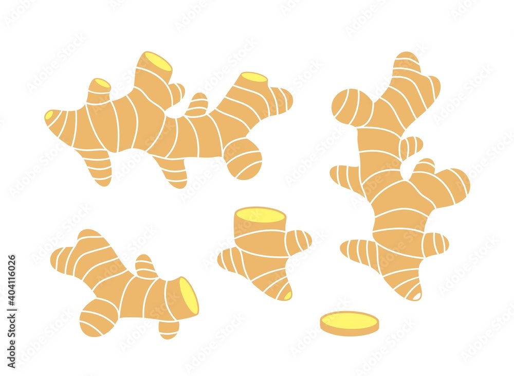Ginger logo. Isolated ginger on white background Ginger logo. Isolated ginger on white background