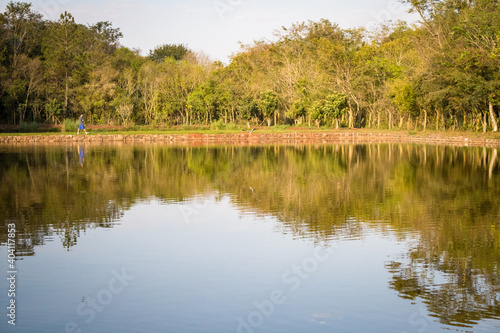 Beautiful lake with calm waters reflecting around trees bordering the lake