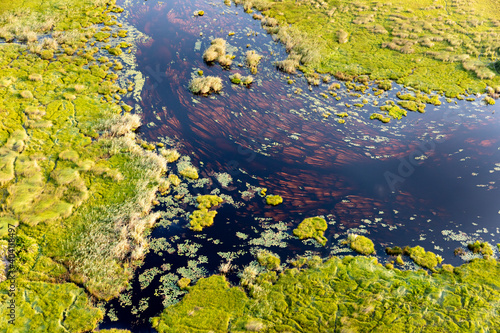 Aerial view to wild nature of Delta Okavango in Botswana. © Ondrej