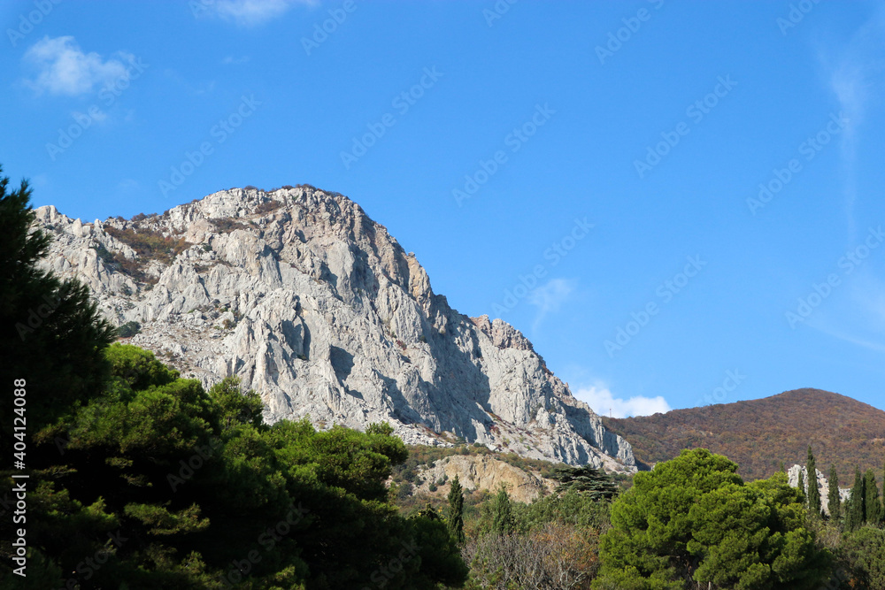 Landscape with pine tree forest, mountains and blue sky