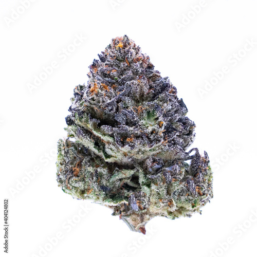 Cannabis Marijuana on white background