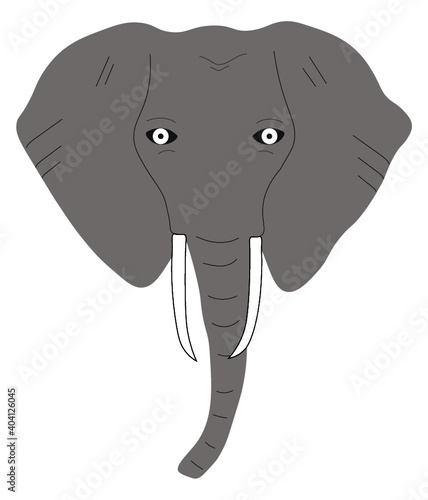 African elephant, head.