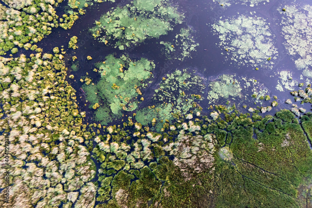 Aerial view to wild nature of Delta Okavango in Botswana.