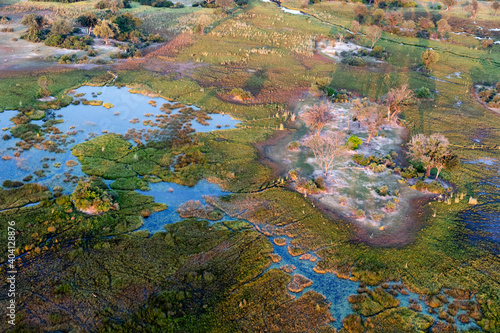 Fototapeta Naklejka Na Ścianę i Meble -  Aerial view to wild nature of Delta Okavango in Botswana.