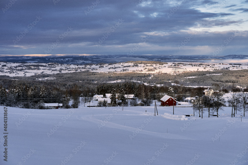 view of the rural landscape of toten, norway, in winter