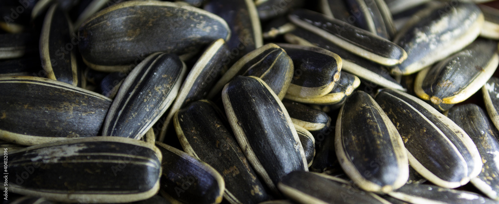 Large seeds close-up. A joy for the rodent.
Large seeds close-up. A joy for the rodent.