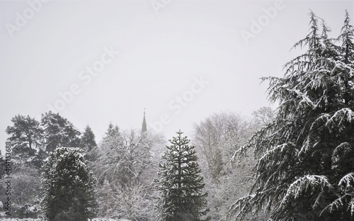 Winter landscape on a snowy day in Albert park, Abingdon, Oxfordshire, Great Britain. 