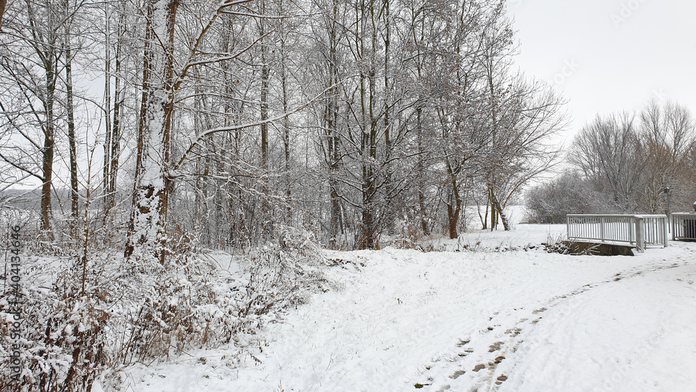 Soothing white winter landscape while snowing, concept of christmas and winter hiking