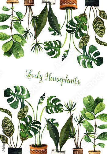 Watercolor illustration, lovely houseplants, postcard for you, white background, handmade