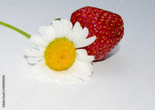 Strawberry and chamomile on white background photo