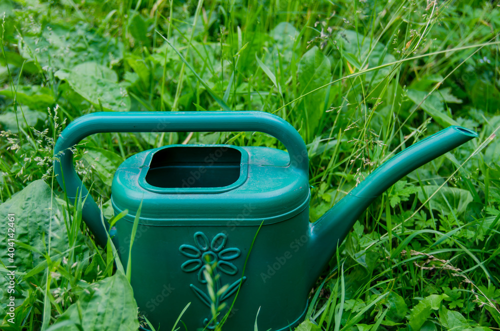 Green watering can in the grass. Photo of garden tools in the garden Green watering can in the grass. Photo of garden tools in the garden