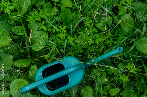 Green watering can in the grass. Photo of garden tools in the garden