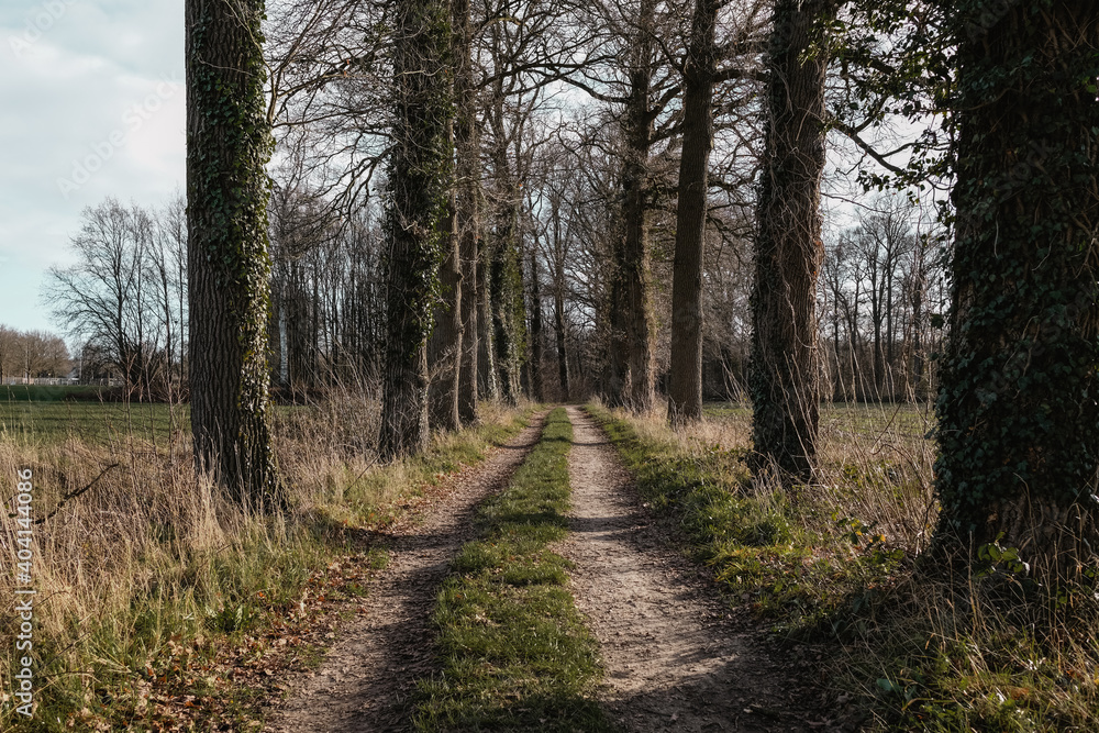 Hike in the countryside of the Achterhoek Netherlands