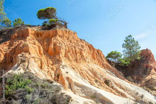 Rote Sandsteinfelsen mit Pinien in algarve