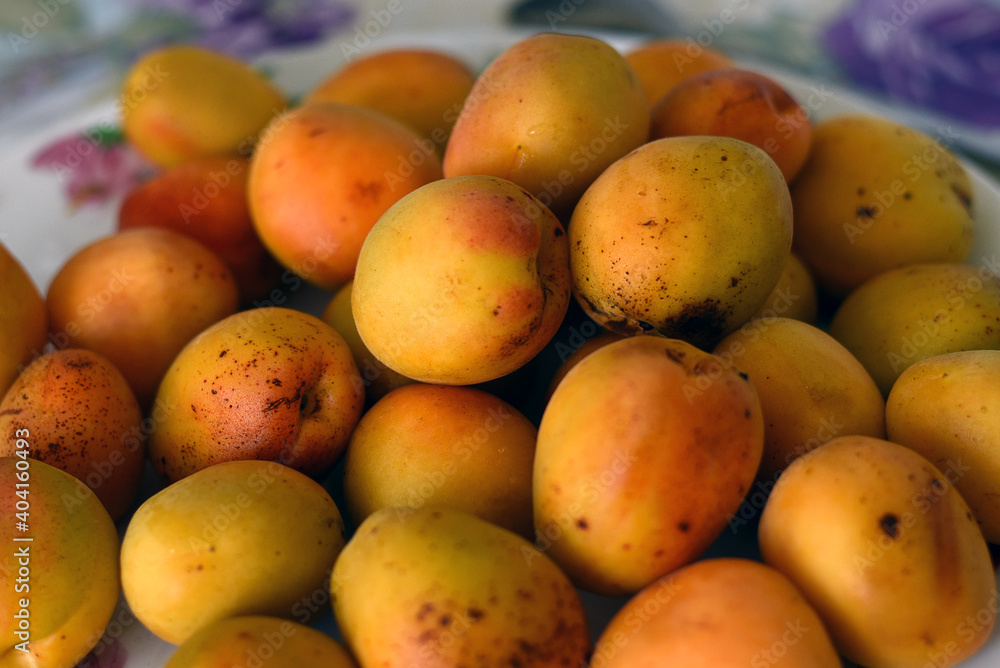 Fresh apricots. Ripe apricots fruit background Fresh apricots. Ripe apricots fruit background