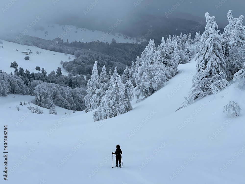Person walking in the snowy mountain among the fir trees