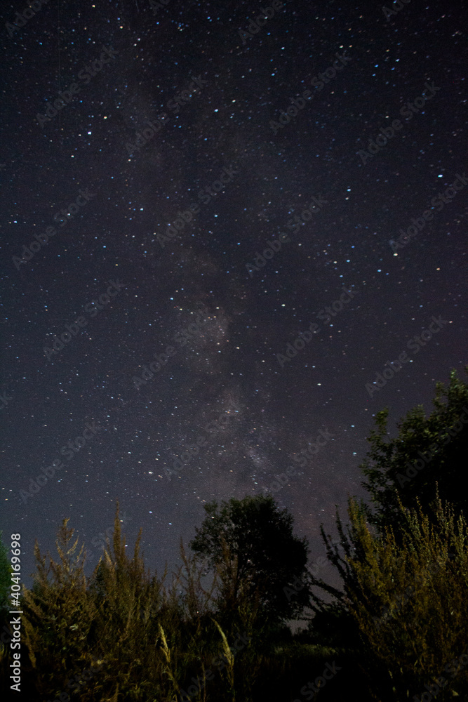 starry night sky