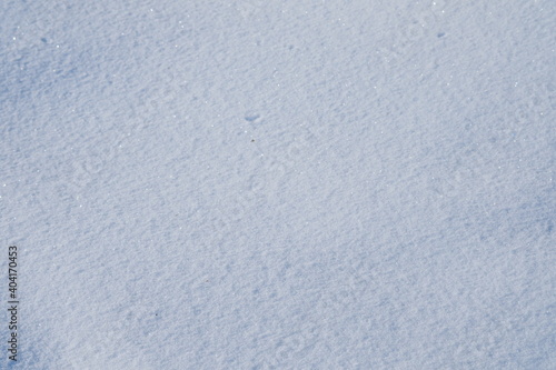 雪に覆われた大地