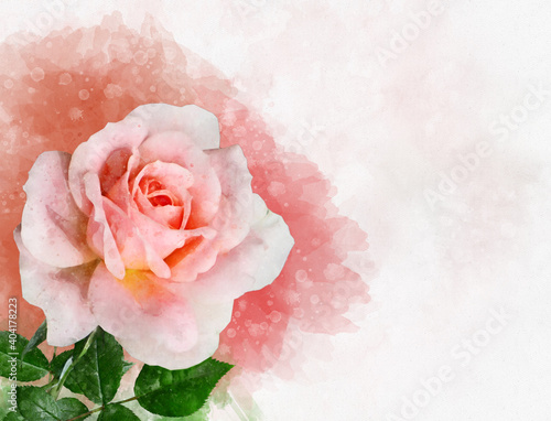 Fototapeta Naklejka Na Ścianę i Meble -  A watercolor drawing of a vibrant pink rose flower. Botanical art. Decorative element for a greeting card or wedding invitation