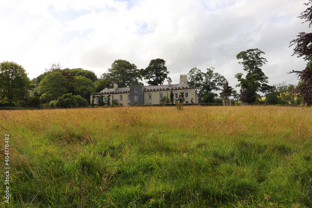 Golden wheat beneath the gaze of Restormel manor Golden wheat beneath the gaze of Restormel manor
