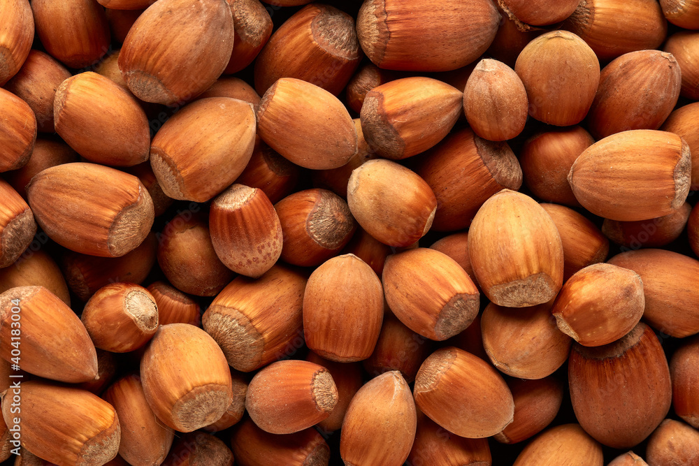 Background from hazelnuts. Background from hazelnuts.