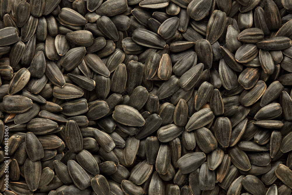 Background from sunflower seeds Background from sunflower seeds