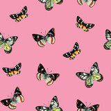 Cute seamless pattern with watercolor painted colorful realistic butterflies.