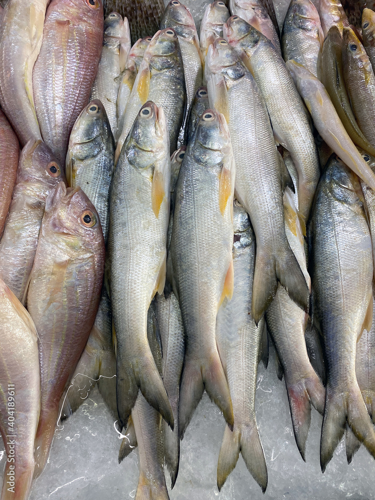 Obraz premium Close up of fresh fish in Thai market