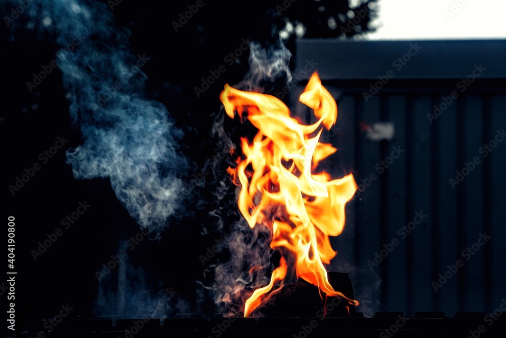 Obraz premium fire in the fireplace
