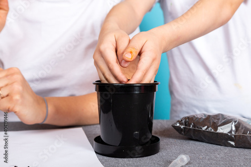 Close-up of a boy making holes in the ground and loosening the ground to plant a seed and grow a houseplant on a table against a blue background. The concept of gardening classes with children.