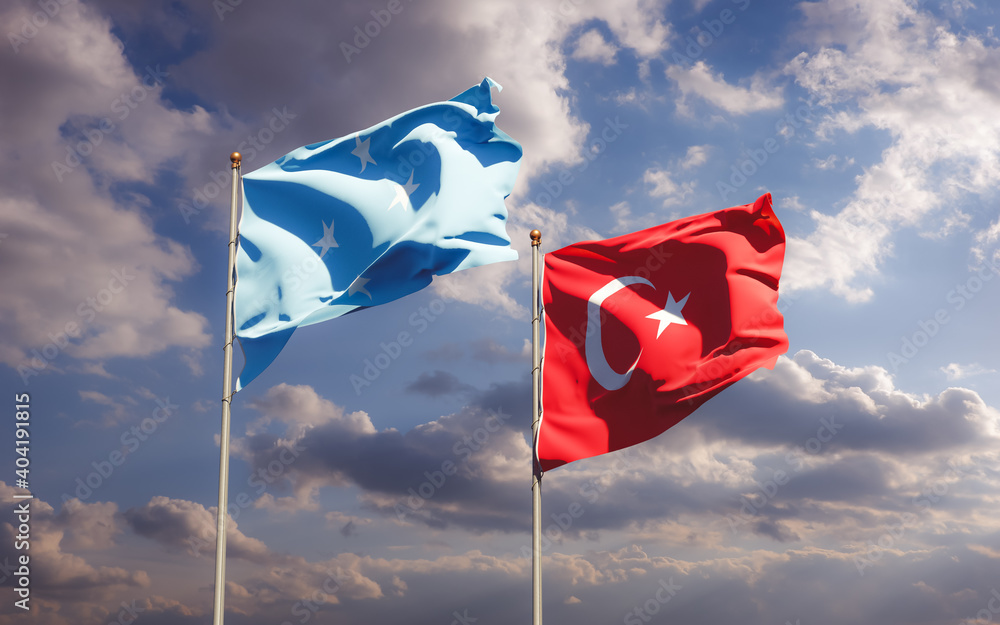 Flags of Federated States of Micronesia and Turkey. Flags of Federated States of Micronesia and Turkey.