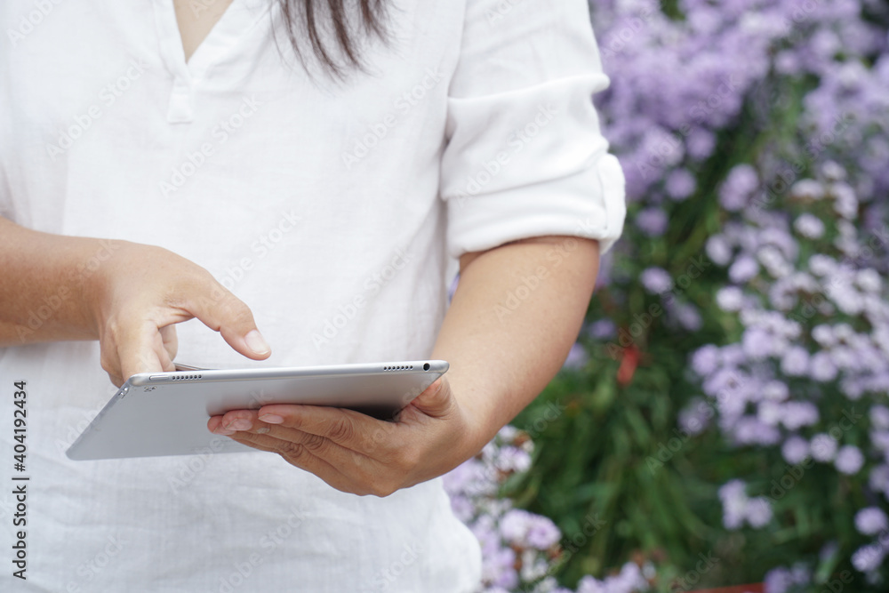Tablet in the hands of a women,Scientist observing Purple flowers plants. Tablet in the hands of a women,Scientist observing Purple flowers plants.