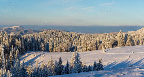 Winter im Schwarzwald am Herzogenhorn