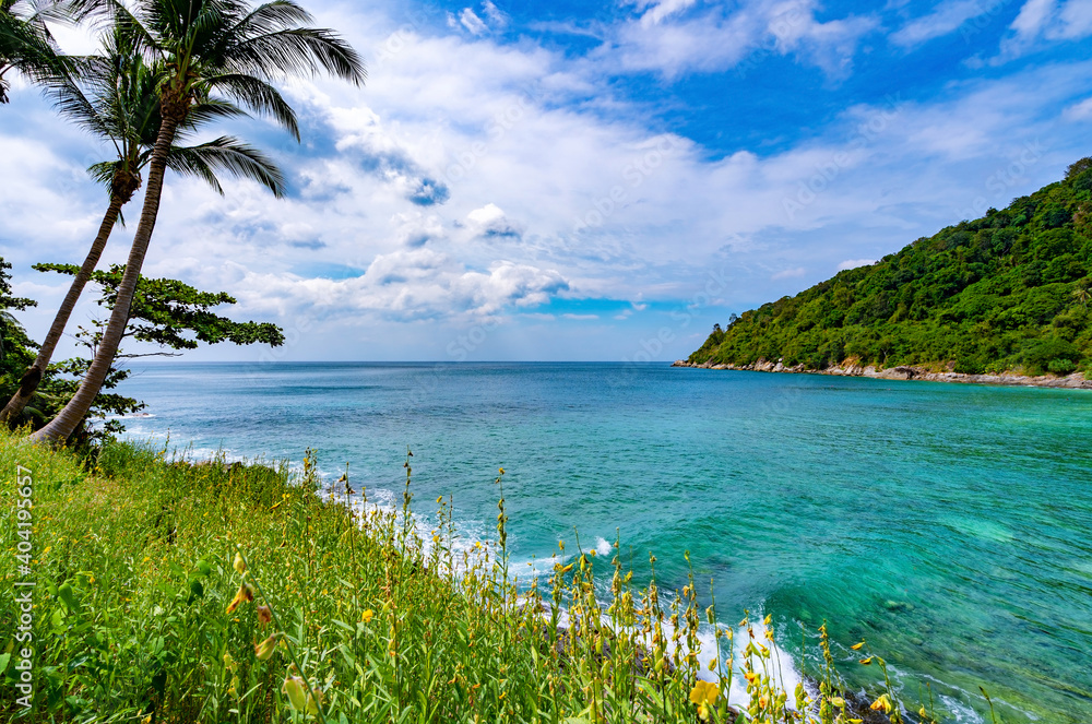 Beautiful Flower With Palm Trees frame in The beautiful Bay,Scenery view Phuket travel destination at Tropical island vacation idyllic background,Image for summer open travel season and tour concept