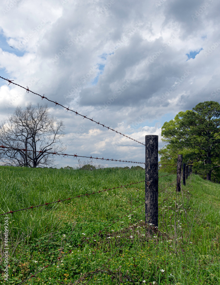 Fototapeta premium Barbed wire fence in portrait format