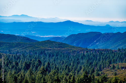 mountain with Green trees and foggy background