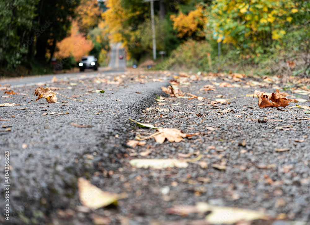 Winding road with fallen leaves, colorful trees, and car approaching. Winding road with fallen leaves, colorful trees, and car approaching.