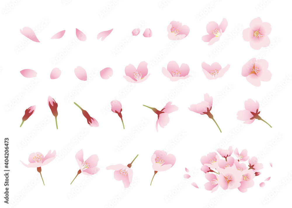 Vettoriale Stock 桜の花 イラスト素材 デザインパーツ 色々なアングル カラー 線なし 白背景 Adobe Stock