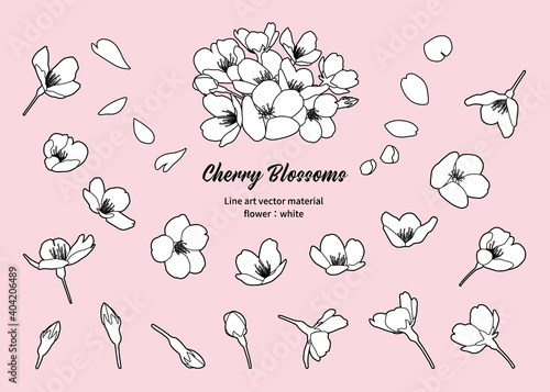 桜の花 線画イラスト素材 デザインパーツ 色々なアングル（白黒、線画、花：白塗り）