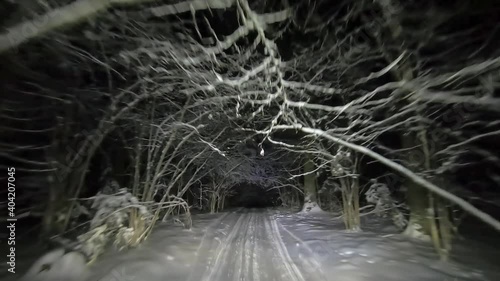 POV driving through the night snowy forest in winter. Beautiful landscape of winter forest at night in the light of car headlights. Winter travel