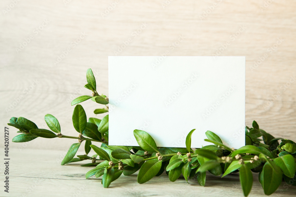 Valentines Day background with hearts and card. decorations, fresh green twigson on wooden background with empty copy space Valentines Day background with hearts and card. decorations, fresh green twigson on wooden background with empty copy space
