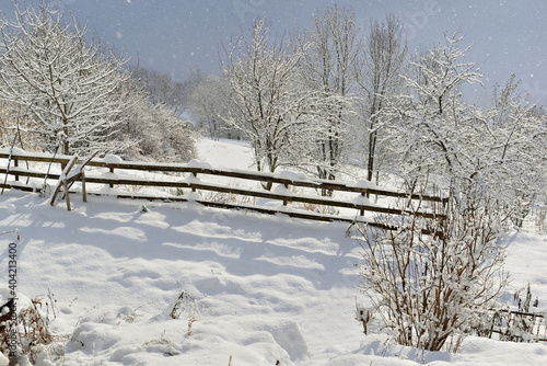 meadow close by a wooden fence and trees covered with snow under snowflakes