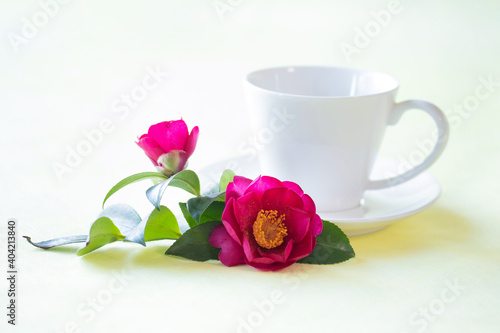 美しい山茶花とコーヒー